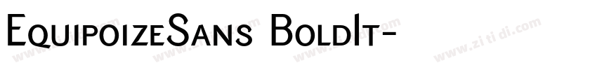 EquipoizeSans BoldIt字体转换